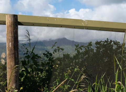 A close up of a fence with a hooded top and a long vertical post. The fence has a very small mesh which you can see though. Behind the fence is a lot of greenery and an mountain in the distance.