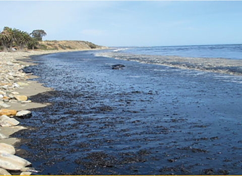 A stretch of beach and coastline affected by an oil spill