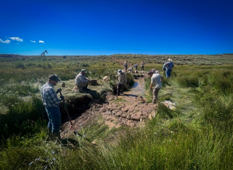 people working along a streambank in a field of sagebrush with big, blue sky
