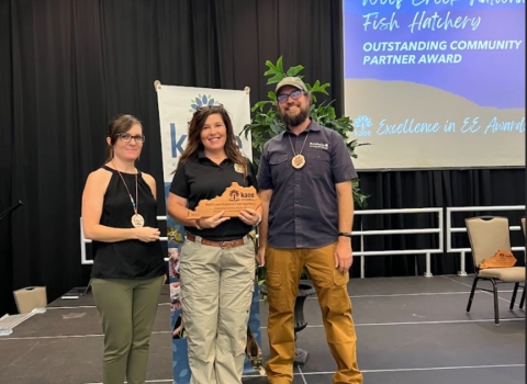 3 people pictured on stage receiving an award