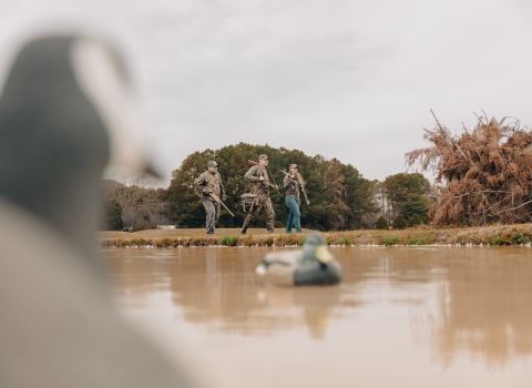 Three hunters in camouflage walk past duck decoys.
