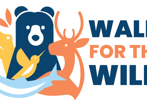 Walk for the Wild. Illustration of a bear, fish, hummingbird, alligator, and deer.