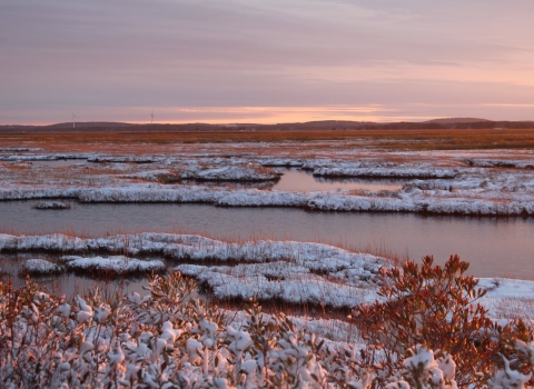 Pink and purple skies over snow-covered marsh and unfrozen water.