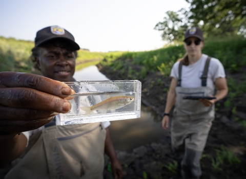 Two staff members show off a Topeka shiner found in a restored oxbow