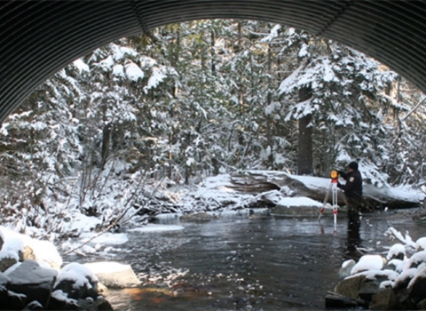 looking out an open arch culvert