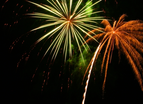 Fireworks in the night sky