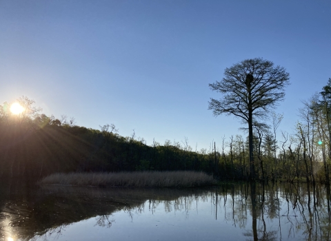 Sun setting over James River