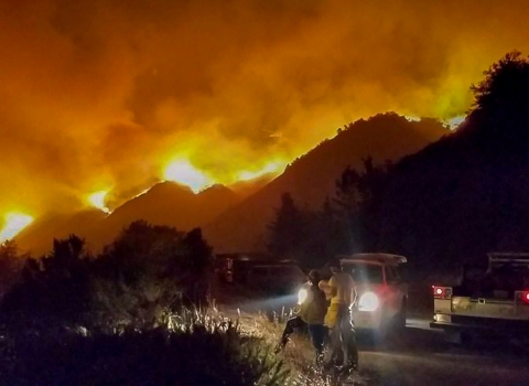 A fire sweeps across a mountainside