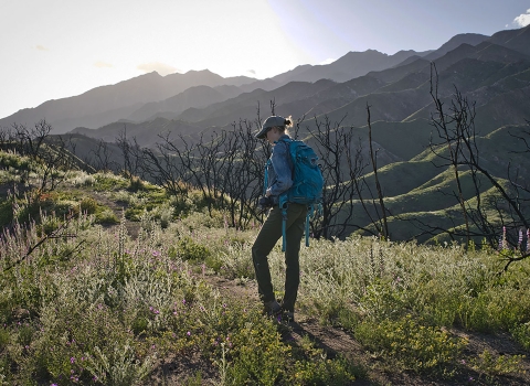 A woman standing in front of a scorched mountainside