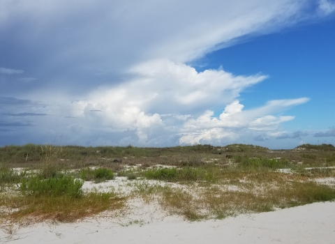 View of dunes from the beach with storm clouds in the background