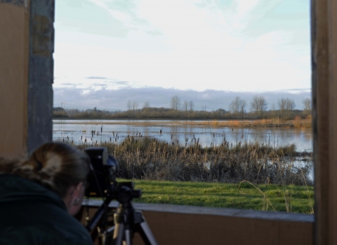 A woman aims her camera at birds through a photography blind at Ankeny National Wildlife Refuge in Oregon.