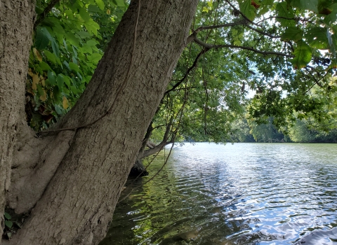 The backchannel as viewed from the banks of Buffington Island.