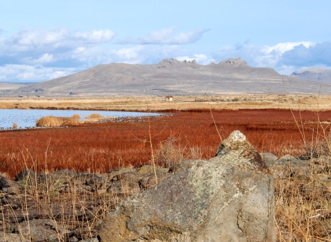 Picture of Tule Lake South end looking East to the Peninsula