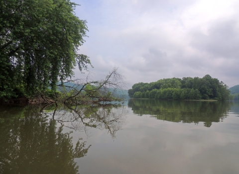 Clouds and fog lifting over Williamson Island