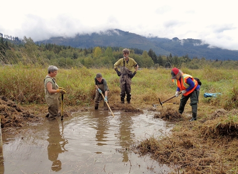 A group of people standing around standing water in a wetland area