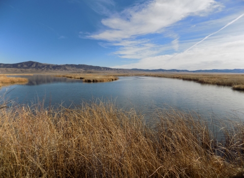 Late Fall Ruby Lake NWR