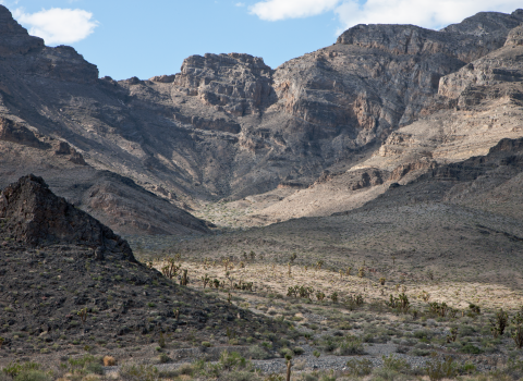 Mountains rising sharply up from the desert floor