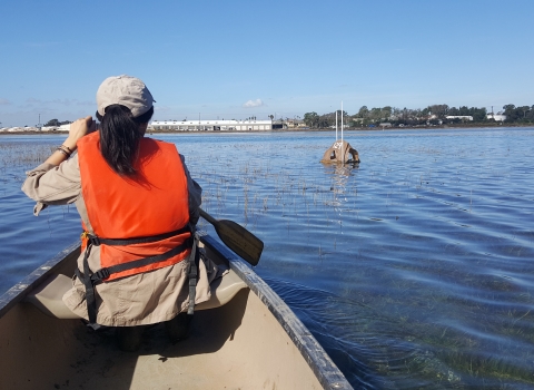 Person wearing bright orange personal flotation device paddling boat during high tide on the estuary.