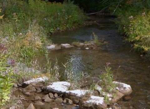 Photo of a stream restoration completed with V-shaped weirs.
