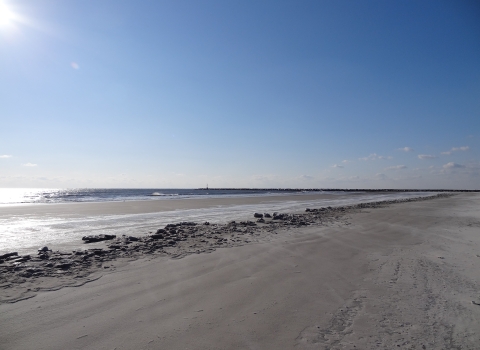 Sunshine reflecting off the water along the grey sandy beach.