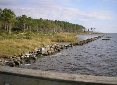 A forest fringed by grassy marsh is bordered by a partially submerged rock wall