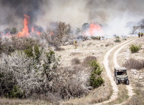 area of brownish shrubs with small fires, firefighters