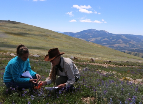 A woman in a blue shirt and a man with a brown cowboy hat on investigate a plant in the left side of the frame