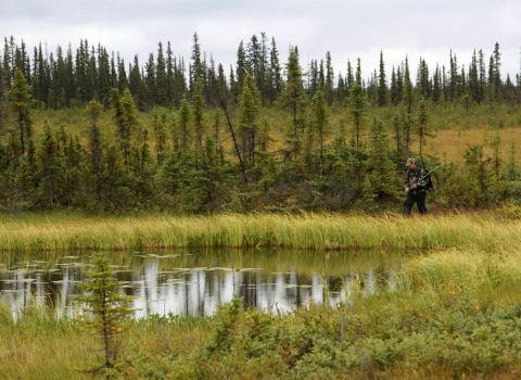 Hunter walking through wetlands at Selawik National Wildlife Refuge.