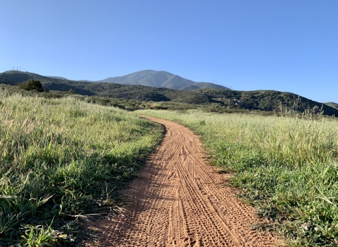 Trail leading from bottom center of image and winds to the left. Grasses surround the trail. In the background hills show before a tall mountain in the far back.