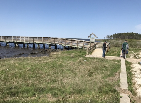 A wooden pier with a gravel sidewalk through a grassy landing at its base.