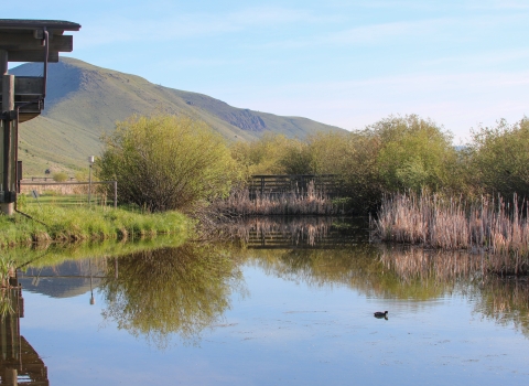 Pond with a distant boardwalk and building on the left.