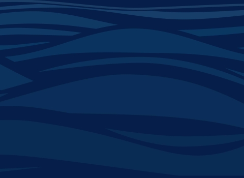 decorative blue wavy line graphic