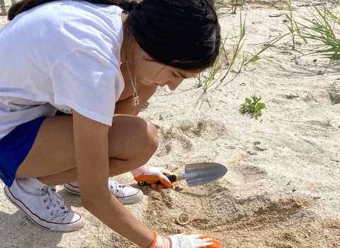 young person wearing gloves holds trowel and plants in sand