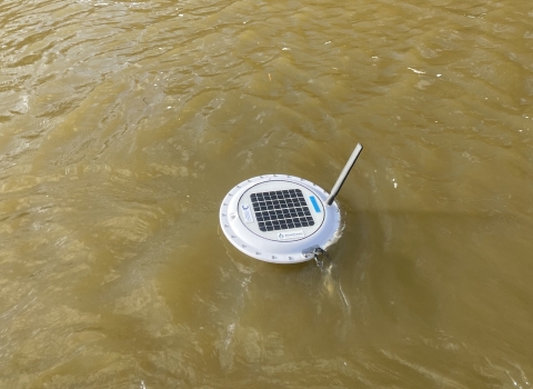 Floating white water quality sensor on surface of brown water Lake Mattamuskeet