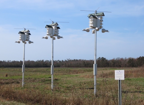 3 sets of white purple martin houses on poles in a green field