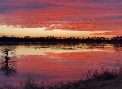 A bank of clouds lit scarlet-purple by sunset reflect on a glassy water surface surrounded by forest.