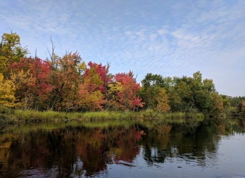 Trees in northern Minnesota turn to fall colors along the water’s edge.