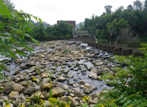 A scenic river flowing amidst rocks and plants in the foreground, creating a serene and natural landscape.