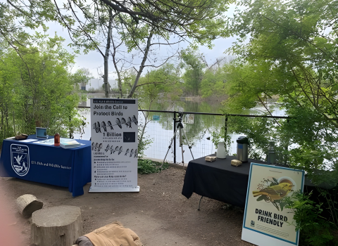 U.S. Fish and Wildlife and Denver Zoo tables for World Migratory Bird Day
