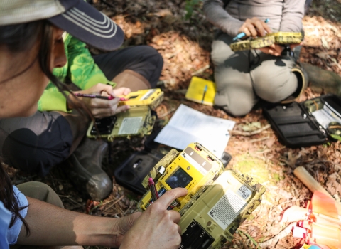 Group of people sitting on a forest floor holding electronic devices