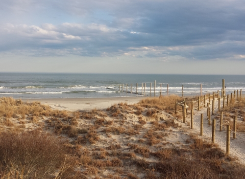 The Dune Trail at Cape May NWR leads to the Atlantic Ocean.