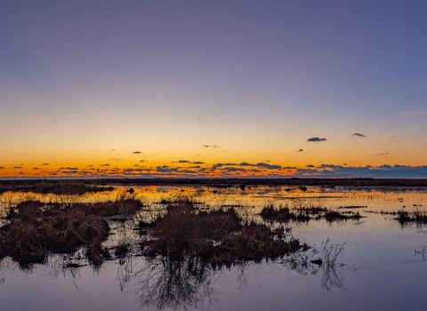 sunset at a coastal marsh