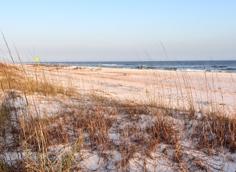 A white sand beach alongside the Gulf
