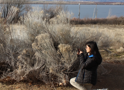 Two people use their phones to take photos of a plant