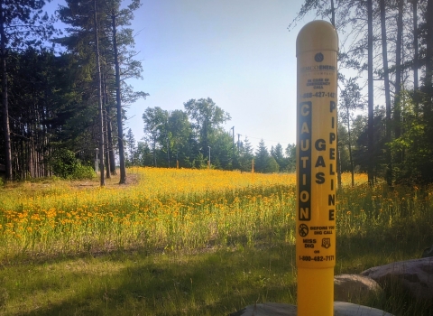 A gas pipeline maker with pollinator habitat along a right-of-way
