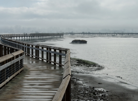 Wet boardwalk extending into distance with gray clouds and gray water