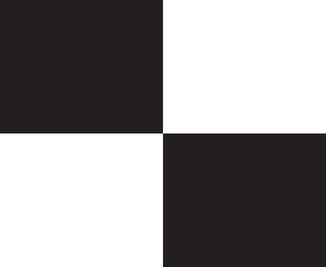 Black and White Swatch