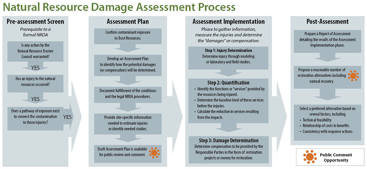 Natural Resource Damage Assessment Process