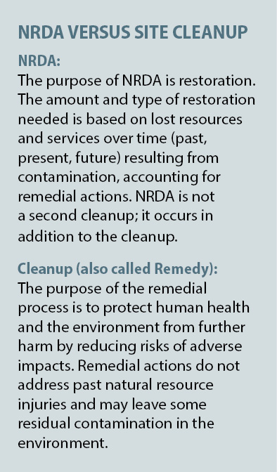 NRDA Versus Site Cleanup. NRDA: The purpose of NRDA is restoration.  The amount and type of restoration needed is based on lost resources and services over time (past, present, future) resulting from contamination, accounting for remedial actions.  NRDA is not a second cleanup; it occurs in addition to the cleanup.  Cleanup (also called Remedy): The purpose of the remedial process is to protect human health and the environment from further harm by reducing risks of adverse impacts.  Remedial actions do not address past natural resource injuries and may leave some residual contamination in the environment.