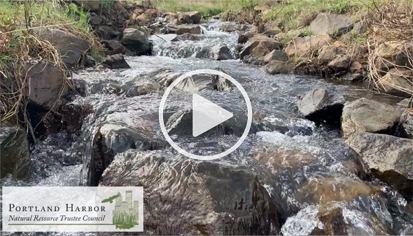 Image of flowing creek with video play button in the middle.